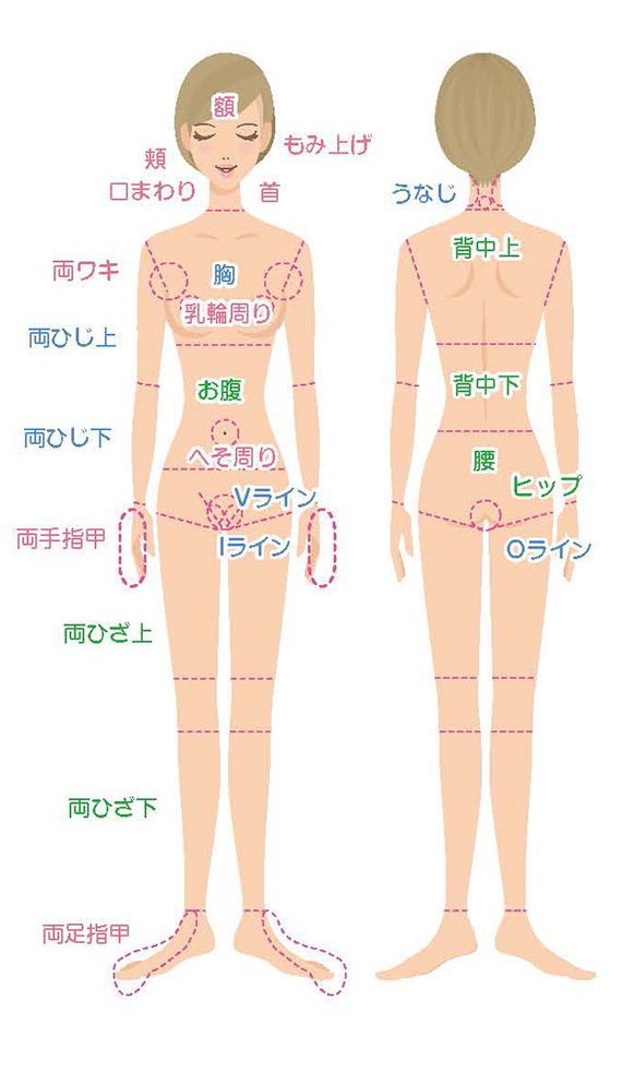 LADIES 脱毛メニュー